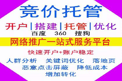 某行业SEM投放效果显著案例分享